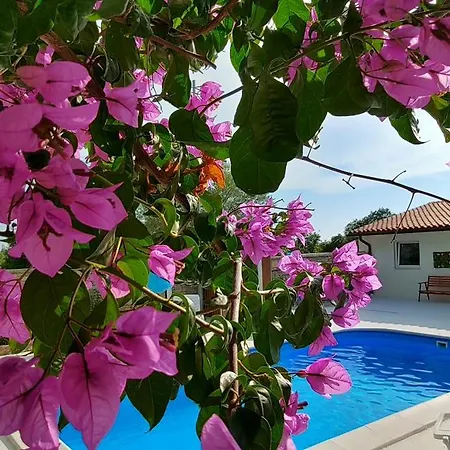 Apartment Sunflower House Istria - The Luxury Of Privacy Vodnjan