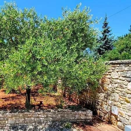 Sunflower House Istria - Private Pool Apartment Vodnjan