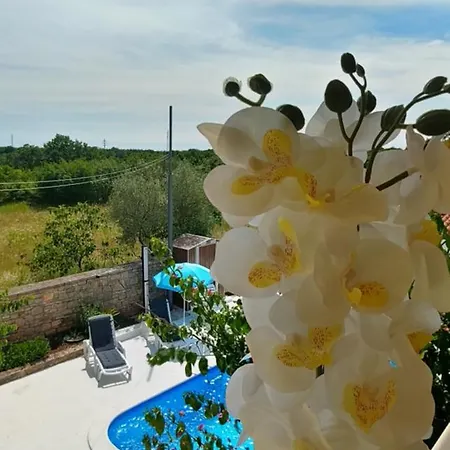 Sunflower House Istria - The Luxury Of Privacy Apartment