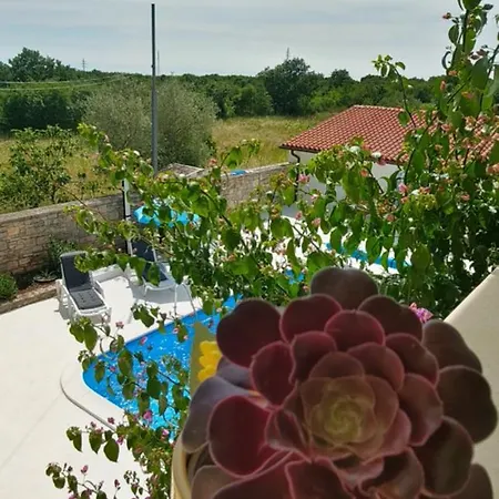 Sunflower House Istria - Private Pool